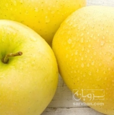 فروش سیب زرد