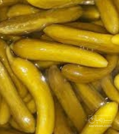 فروش خیار شور