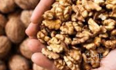 فروش گردو