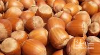 فروش فندق