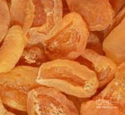 فروش برگه قیسی