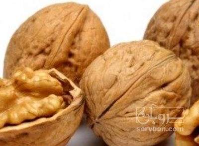 فروش گردو