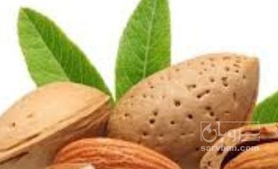 فروش بادام