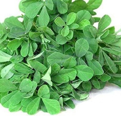 فروش یونجه