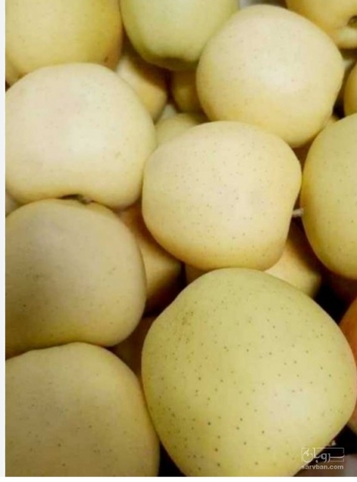 فروش سیب زرد