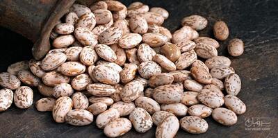 فروش لوبیا چیتی