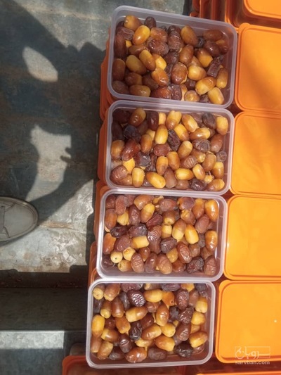 فروش رطب عسلی تازه