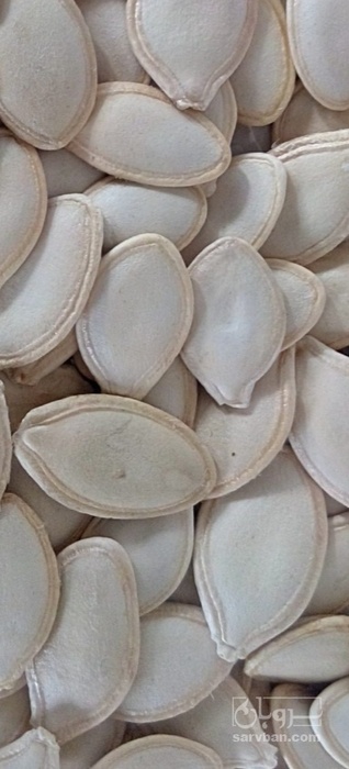 فروش تخمه  کدو بو داده