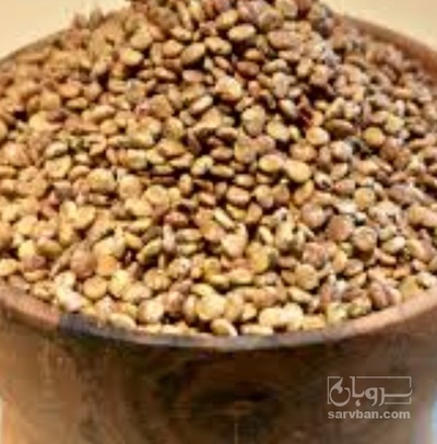 فروش سماق دانه قهوه ایی