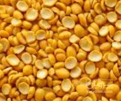 فروش نخود کفتری - لپه