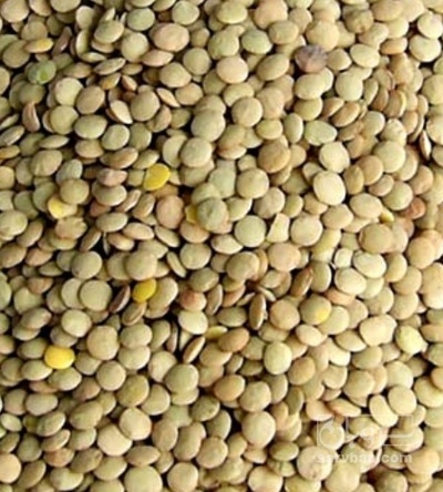 فروش عدس