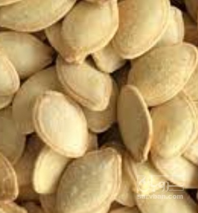 فروش تخمه  کدو بو داده