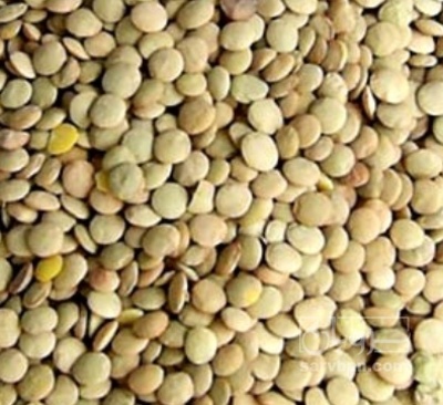 فروش عدس