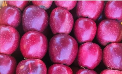 فروش سیب قرمز