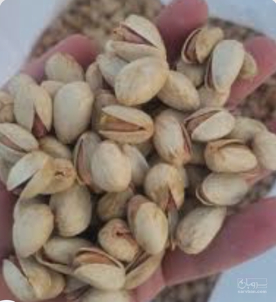 فروش پسته عباسعلی