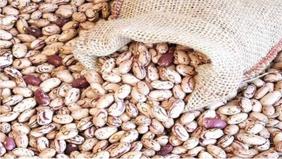 فروش لوبیا چیتی