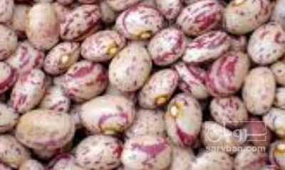 فروش لوبیا چیتی