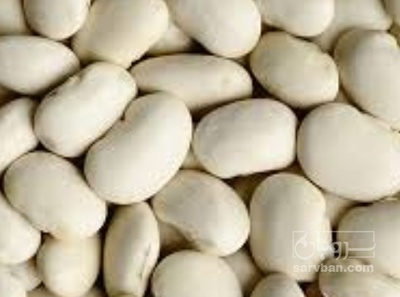 فروش لوبیا سفید