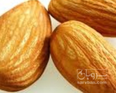 فروش بادام