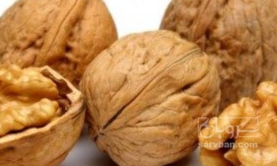 فروش گردو
