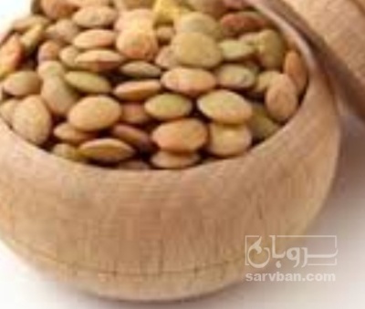 فروش عدس