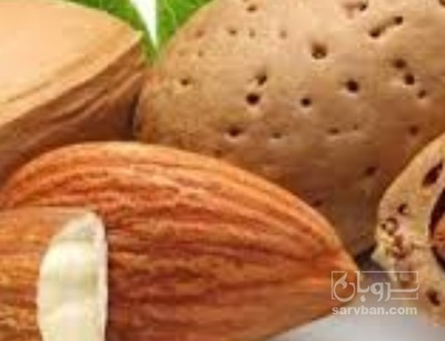 فروش بادام