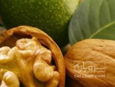 فروش گردو