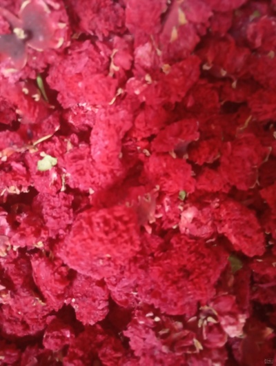 فروش گلنار فارسی ( گلانار ) (گیاه‌ دارویی)