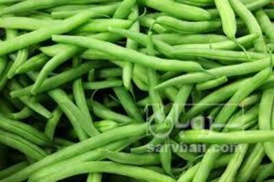 فروش لوبیا سبز