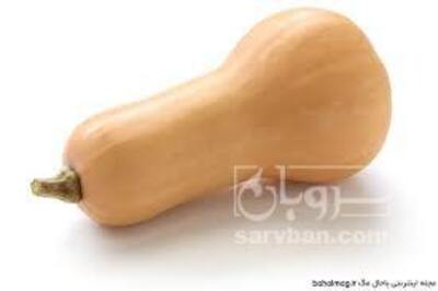 فروش کدو