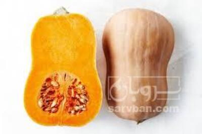 فروش کدو