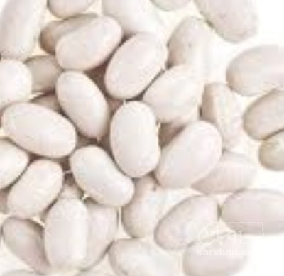 فروش لوبیا سفید