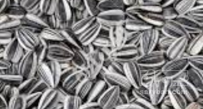 فروش تخمه آفتابگردان خام