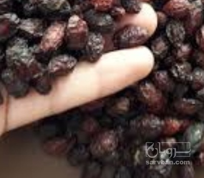 فروش زغال اخته خشک