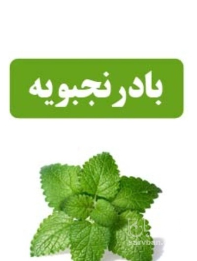 فروش عرق بادرنجبویه