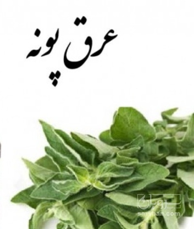 فروش عرق پونه