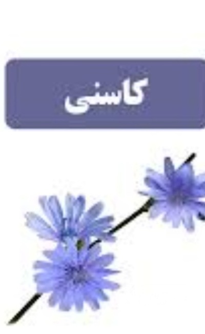 فروش عرق کاسنی