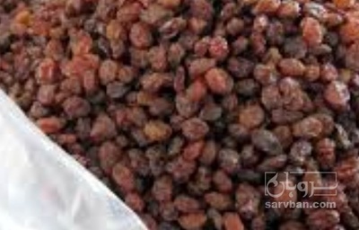 فروش کشمش بی دانه