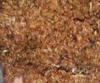 فروش کشمش حلوایی