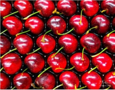 فروش آلبالومجاری