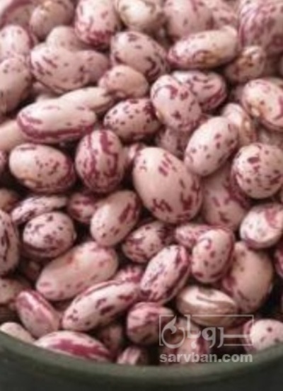 فروش لوبیا چیتی