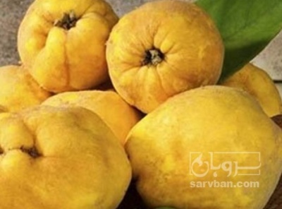 فروش به