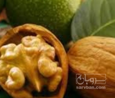 فروش گردو
