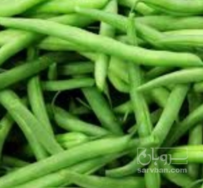 فروش لوبیا سبز