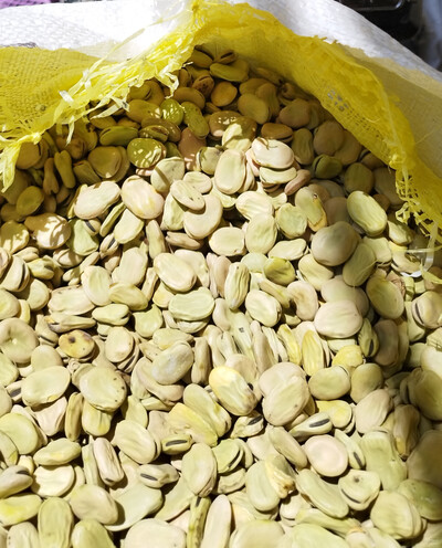 فروش باقلا خشک