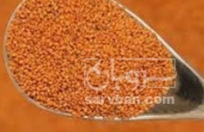 فروش خاکشیر (گیاه‌ دارویی)