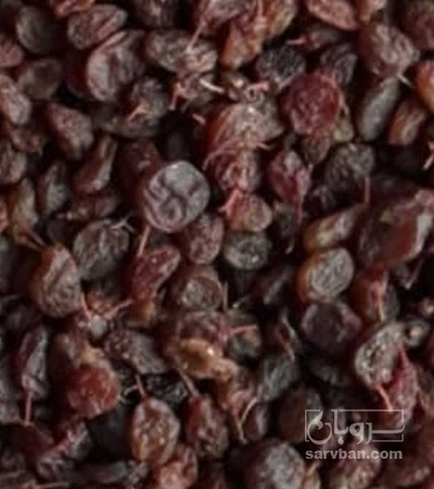 فروش کشمش افتابی پلویی