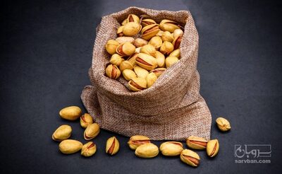 فروش پسته