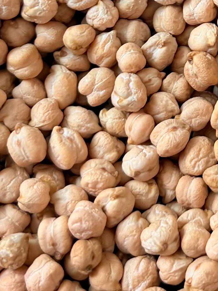 فروش نخود ممتاز