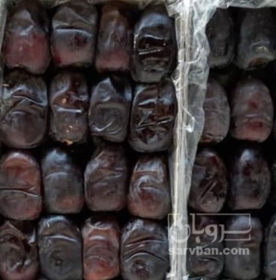 فروش خرما مضافتی